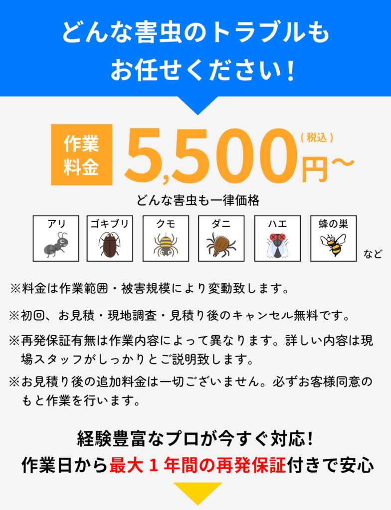 害虫駆除の料金プラン。作業料金5,500円から、アリ、ゴキブリ、クモ、ダニ、ハエ、トコジラミ、蜂の巣など様々な害虫に対応。初回見積り無料、最大1年間の再発保証付き