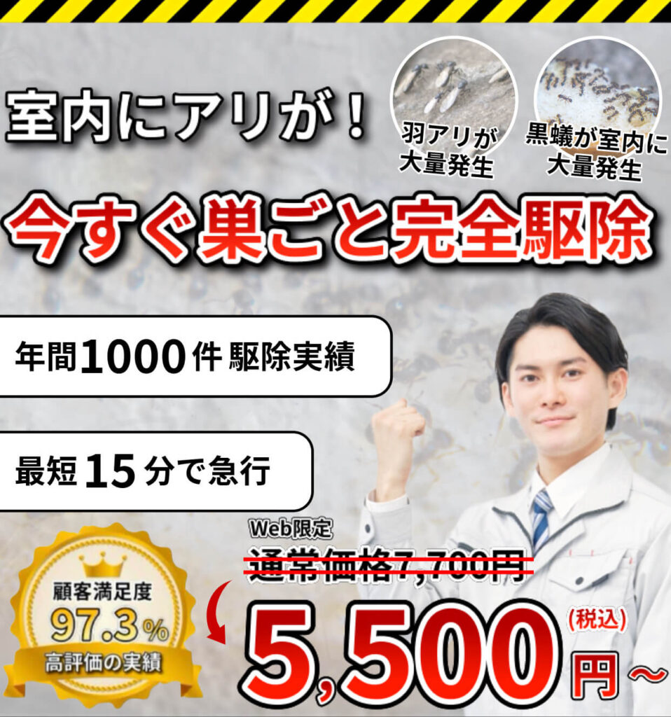 室内にアリが！今すぐ巣ごと完全駆除