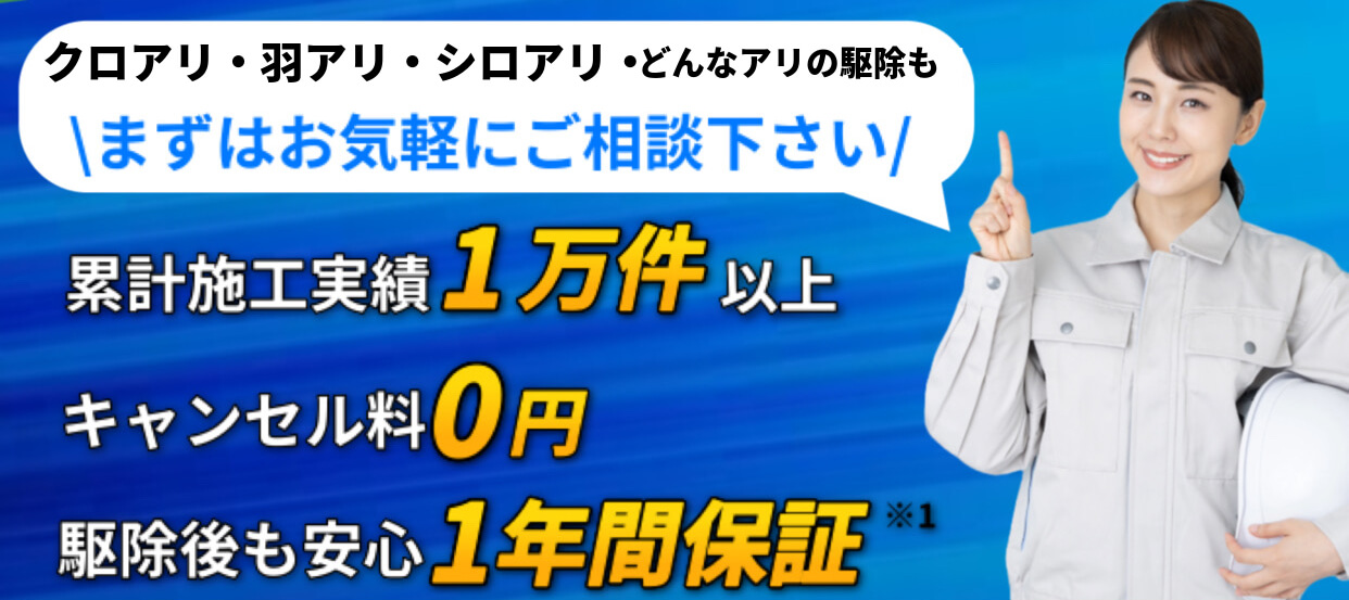 内容1