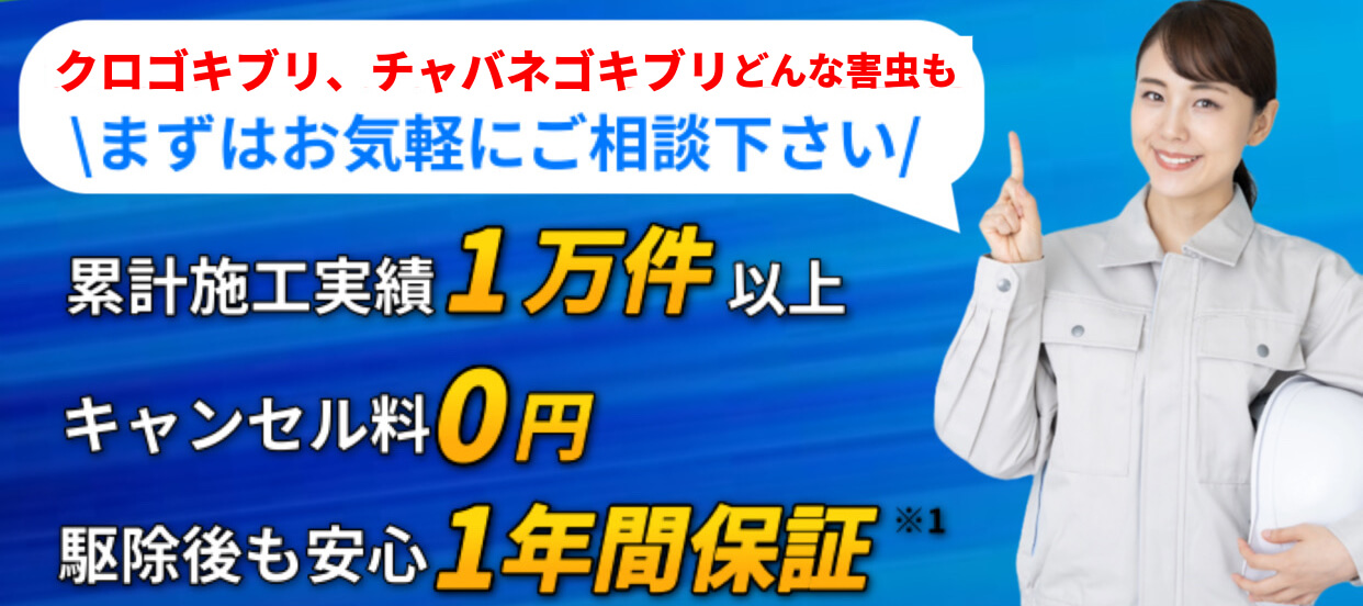 内容1