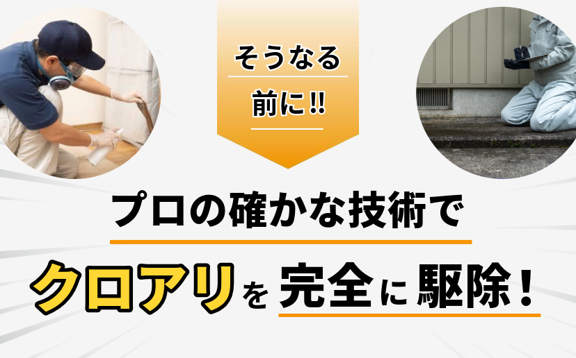 アリ被害画像
