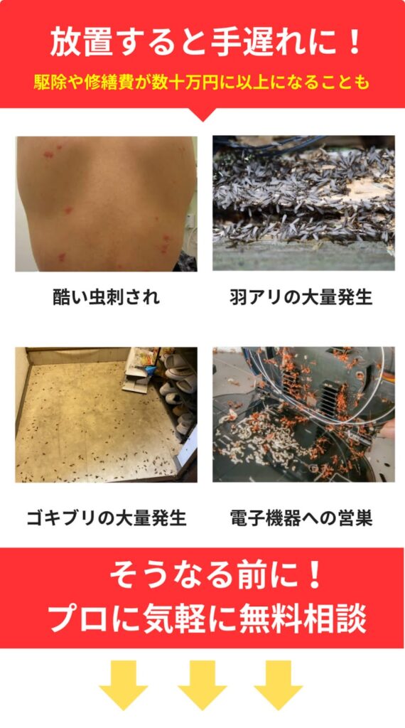 放置すると手遅れに駆除や修繕費用が数十万円以上になることも