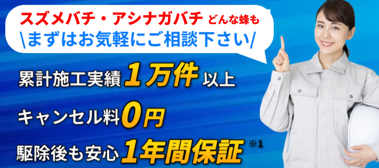 内容1