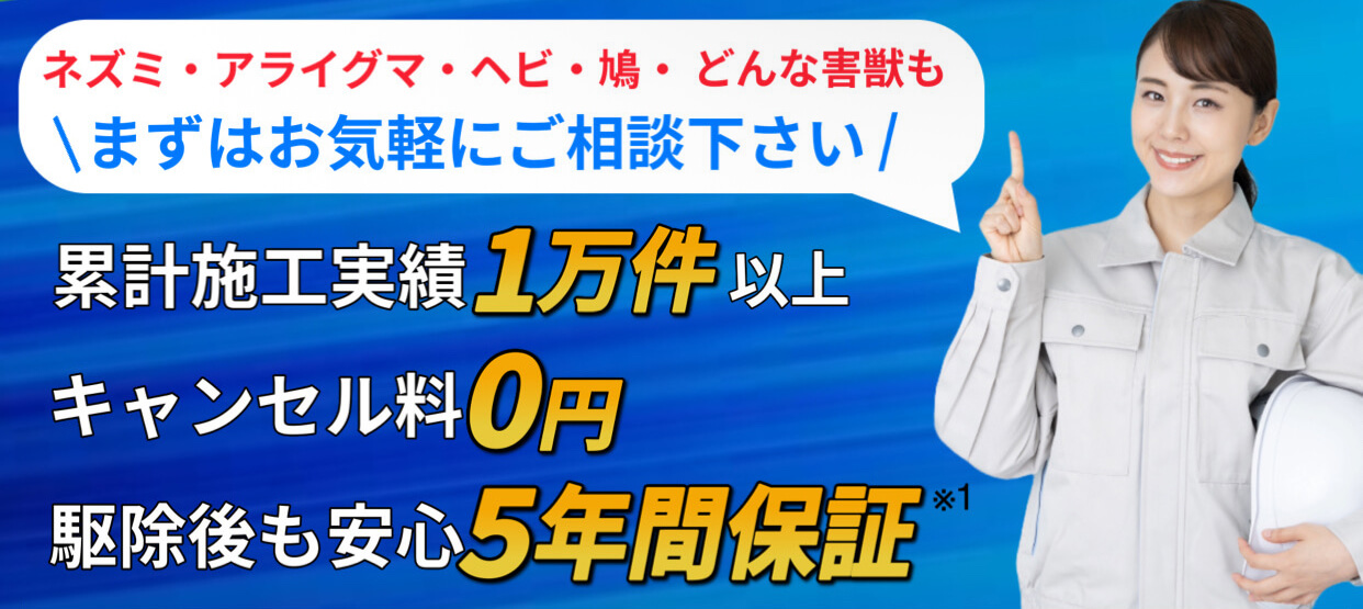 内容1