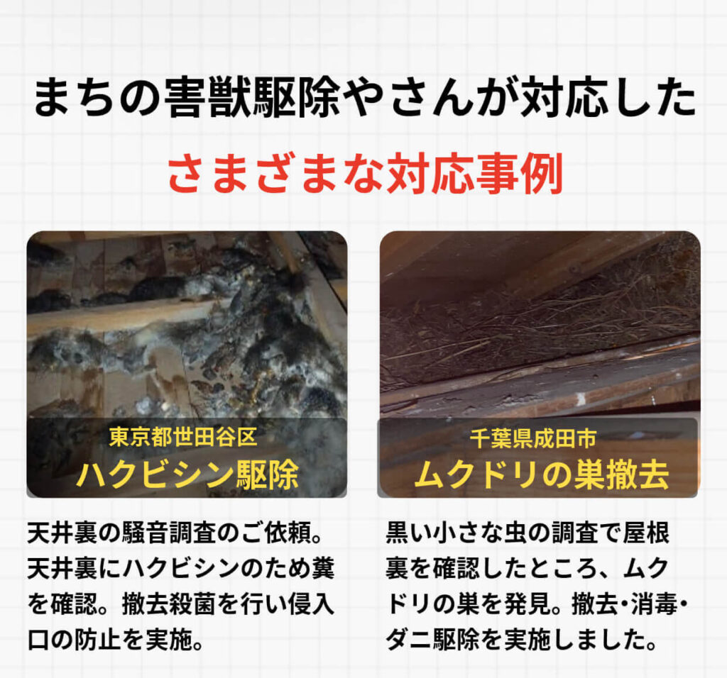 まちの害獣駆除やさんが対応したさまざまな施工事例