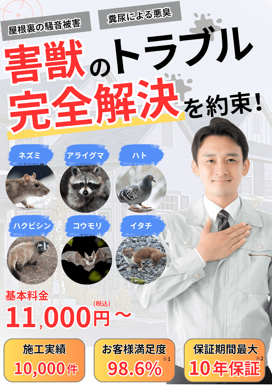 屋根裏、糞尿による悪臭など害獣のトラブルを完全解決