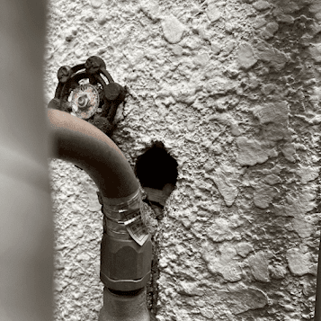 ネズミ侵入口閉鎖前①