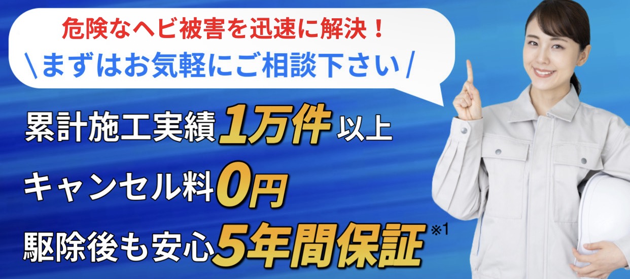 上部画像