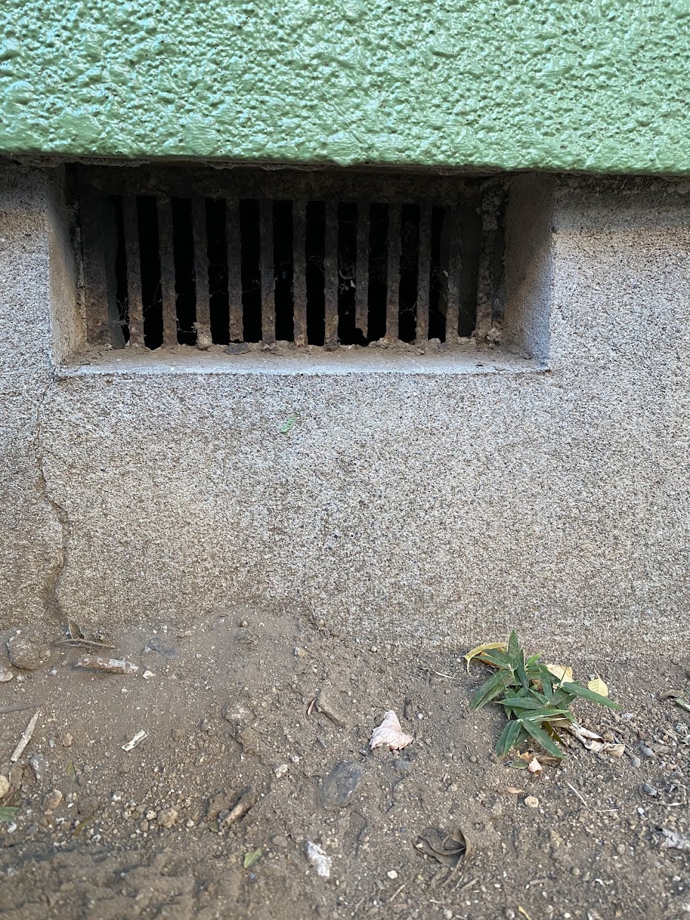 通気口侵入口閉鎖前