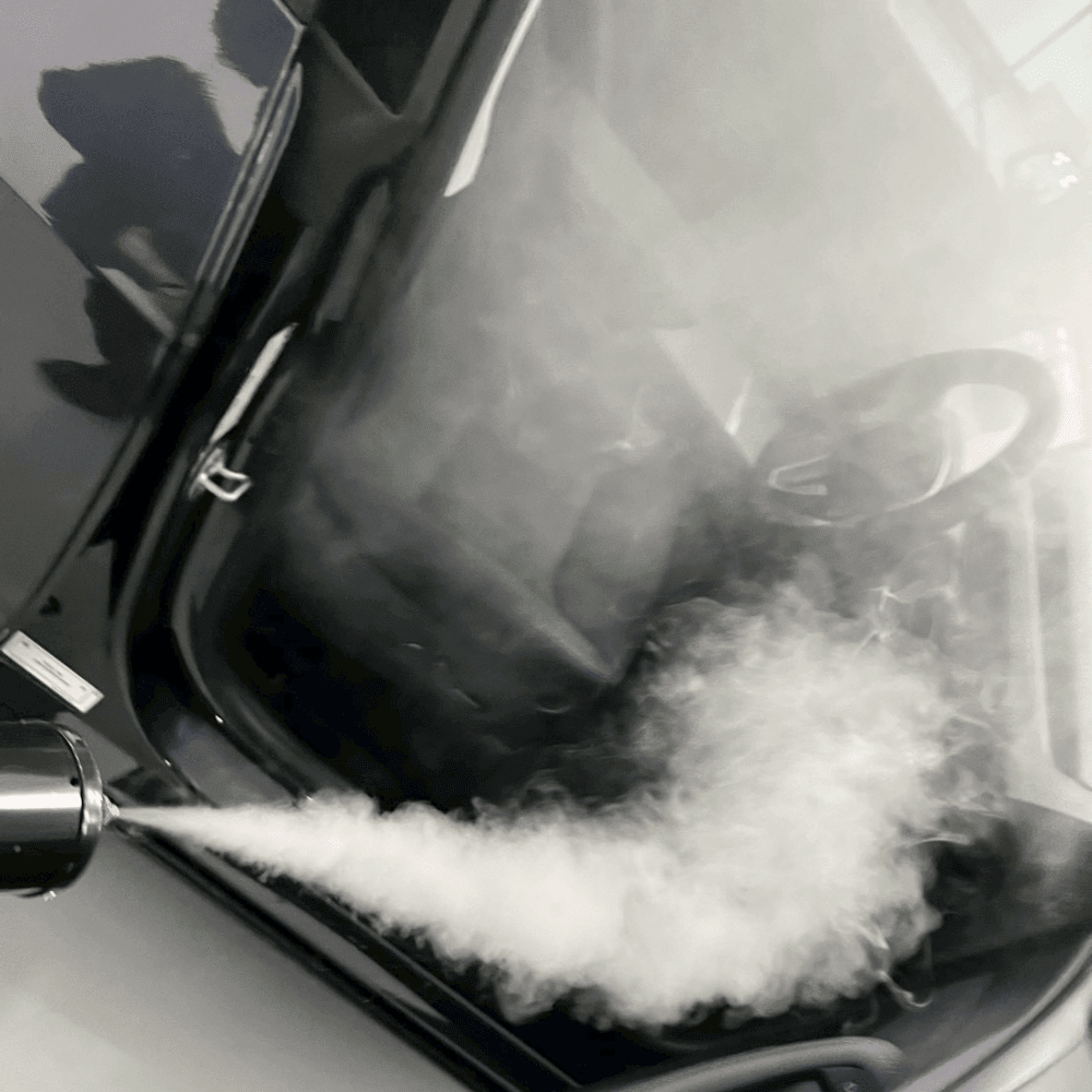 テスラ車内アリ駆除燻煙作業