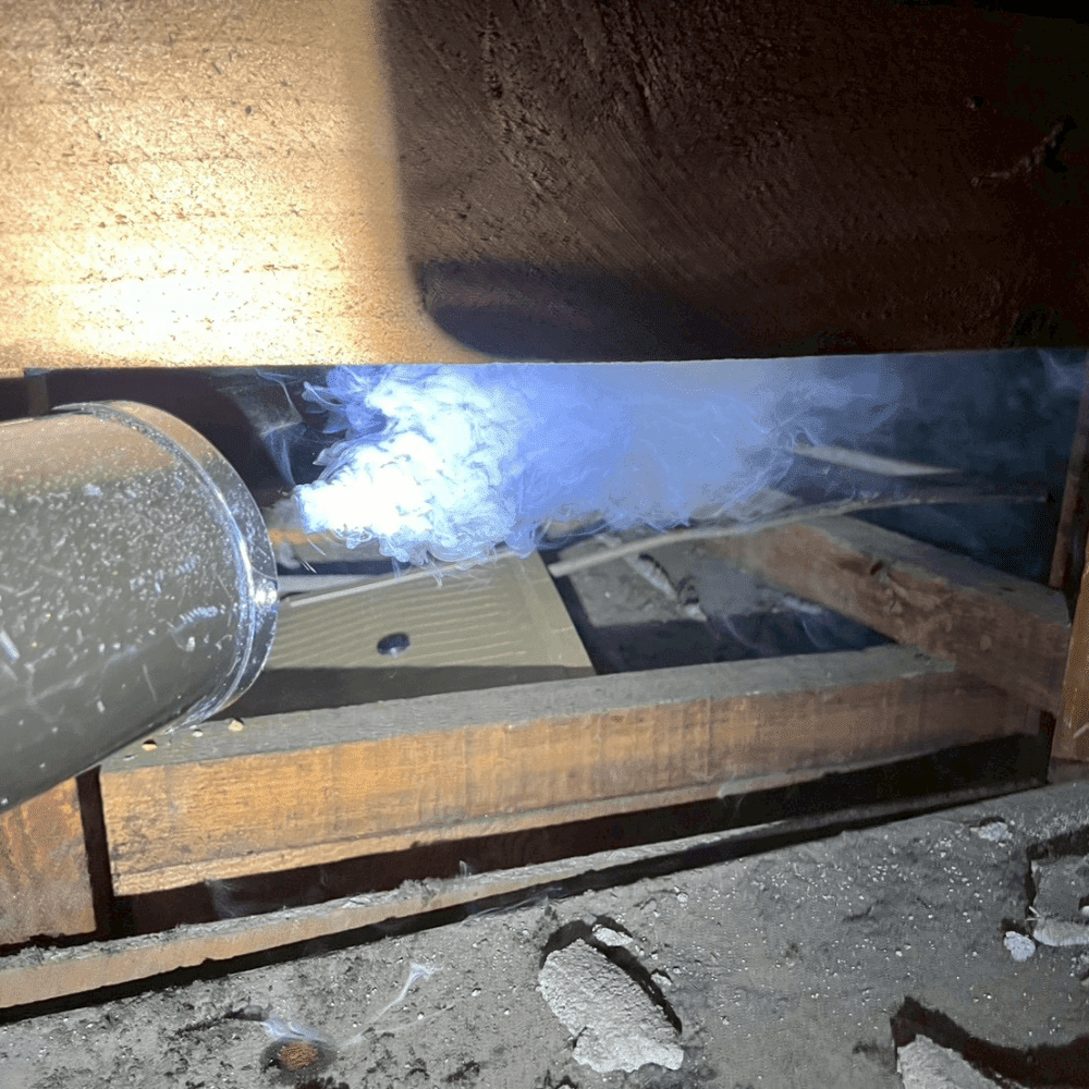 屋根裏ネズミ追い出し作業