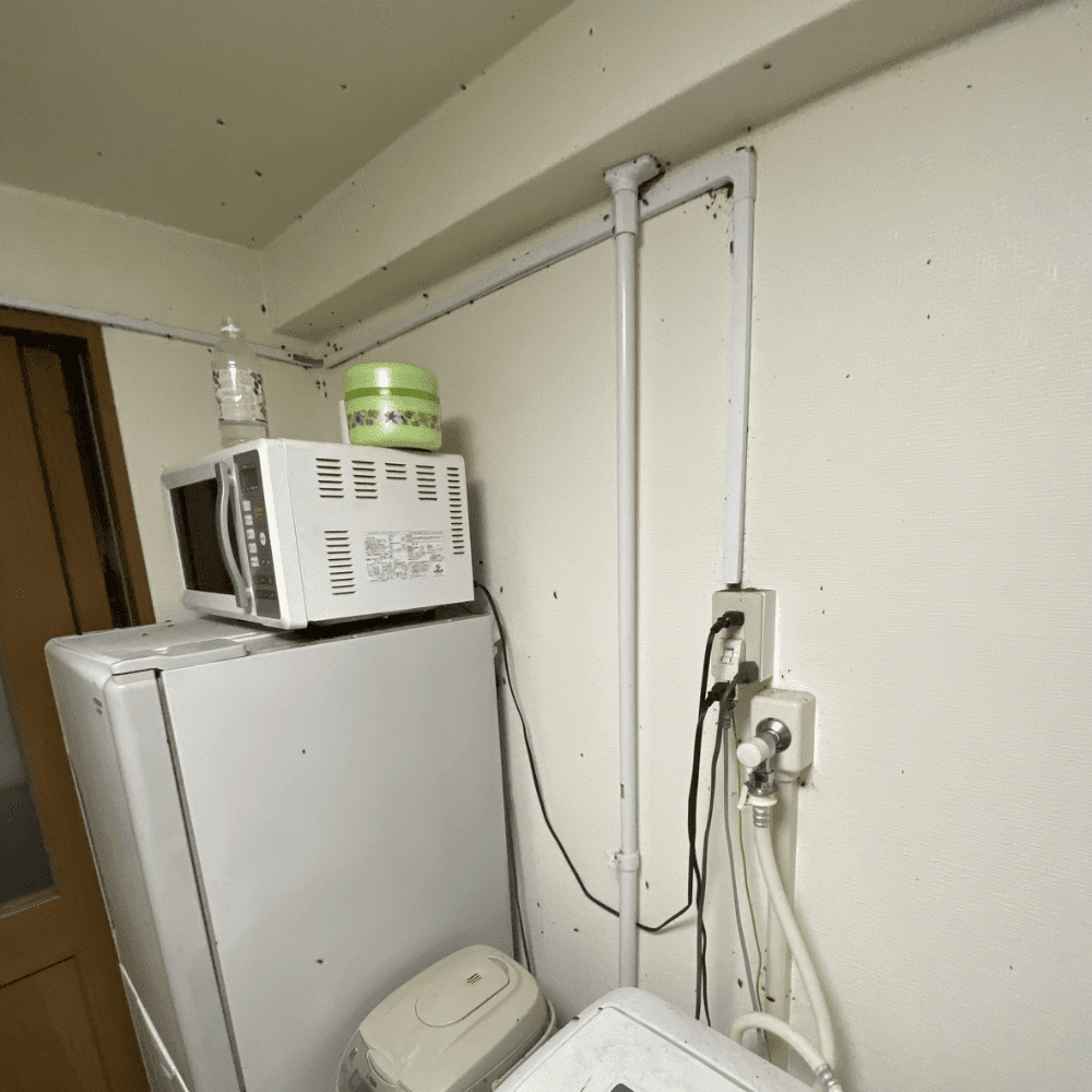 柏市ゴキブリ屋敷・冷蔵庫と洗濯機まわりの壁面に付着したゴキブリの糞